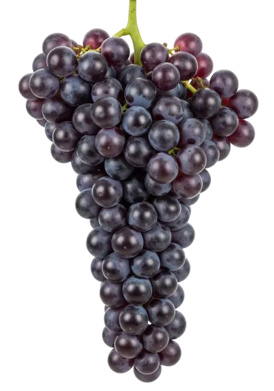 Imagen PNG para descargar